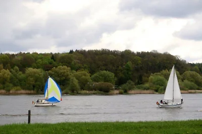 FeWo-Artlenburg