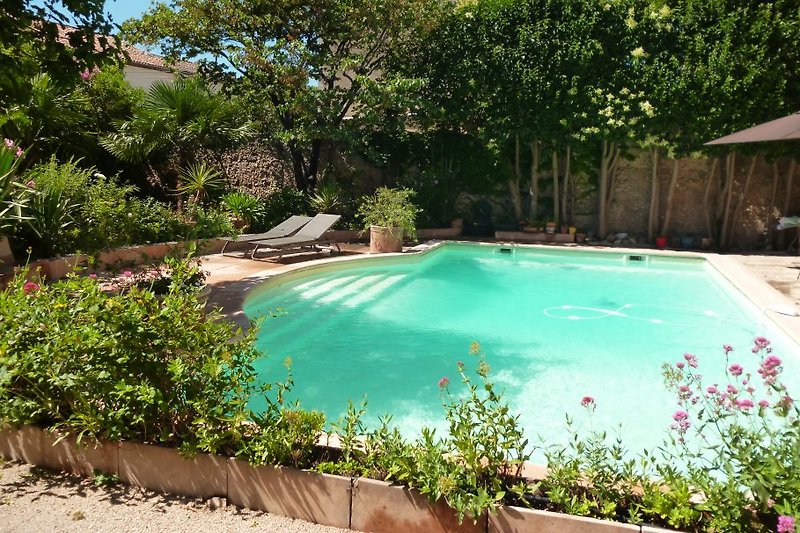 piscine 5m sur 10m  dans un cadre arboré et fleuri; endroit rêvé pour la sieste et les bains de soleil! 
