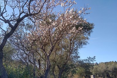 Hübsche FeWo in der Provence