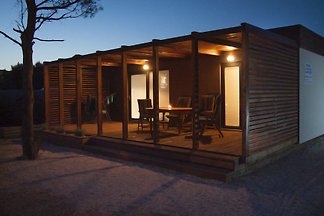 Sea Shell Mobile Home