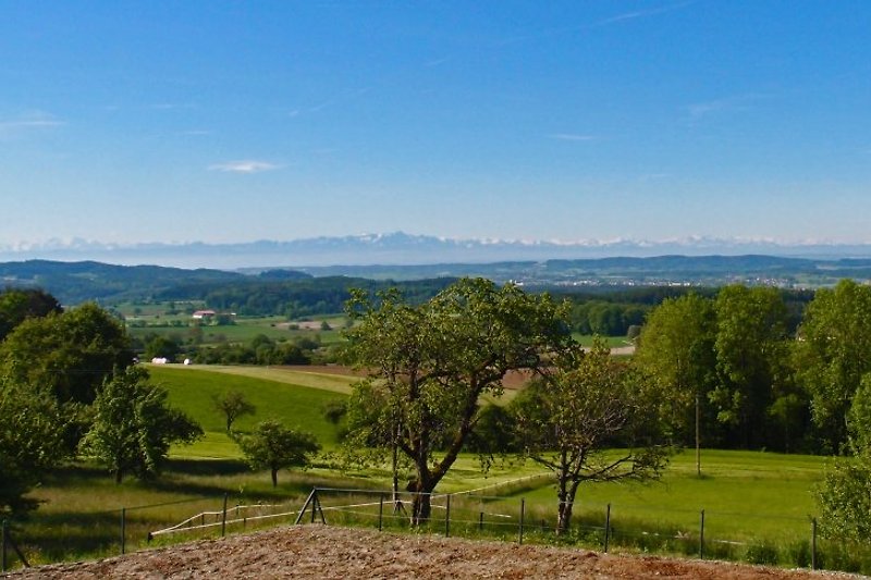 Ein 180° Panorama über den Linzgau bis tief in die Alpen erwartet Sie!