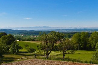 FeWo Linzgau
