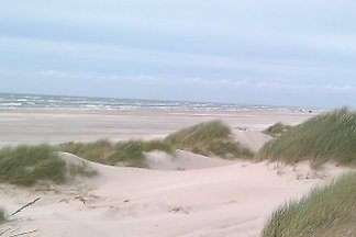 Jammerbugt/Grønhøj/løkken