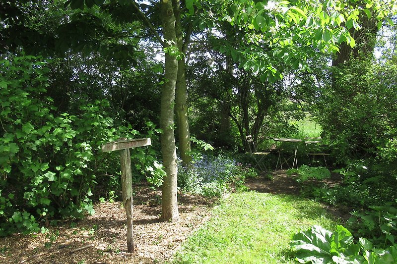 Ein Naschgarten mit Johannisbeeren