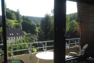 Feriendomizil Talblick Zorge