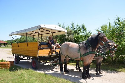 Ferienbauernhof am Nationalpark