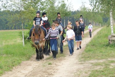 Vakantiehuis Ontspannende vakantie Grünow