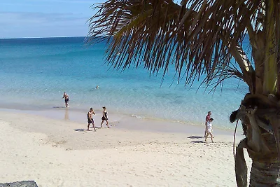 APP.  FUERTEVENTURA