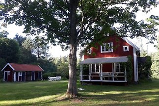 Haus zwischen Wald und See