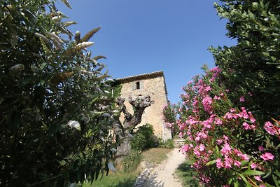 Les Fonts Vieux Murier Provence