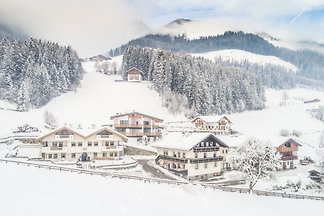 appartamenti XL Steinhaus ObjektXL1