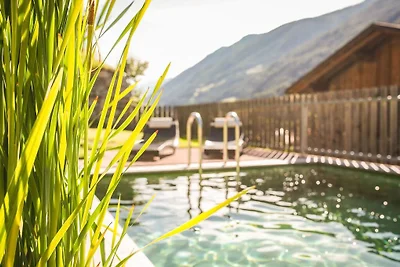 XL Appartements  Steinhaus L+XL