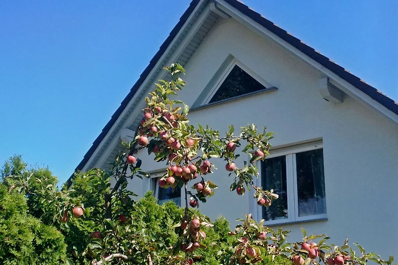 Gezicht op het huis