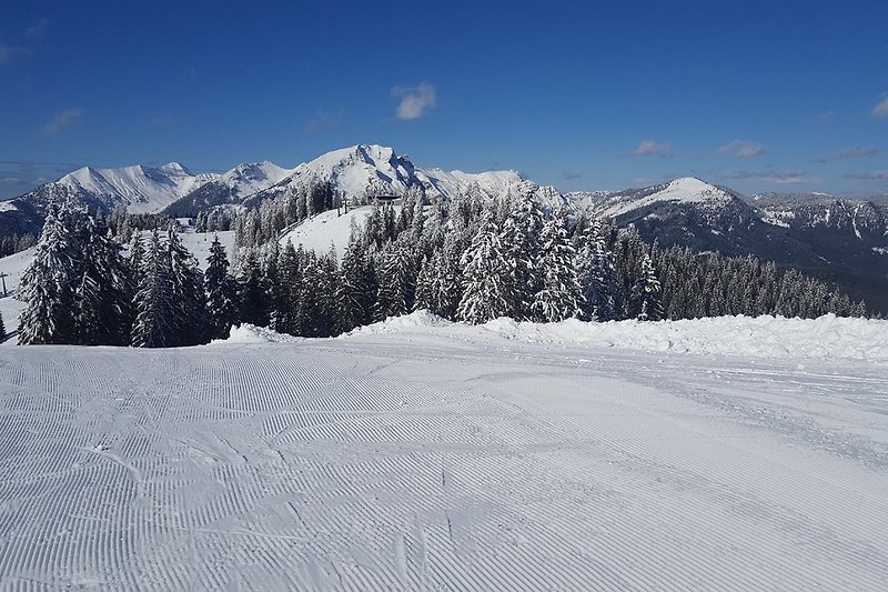 Skifahren im März 