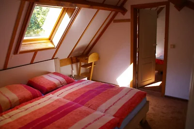 Nikihaus