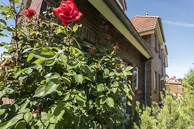 InSa's Deichhäuschen