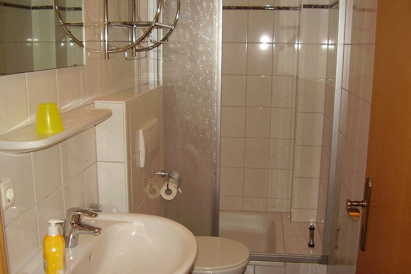Modernes Badezimmer mit Dusche und WC unten