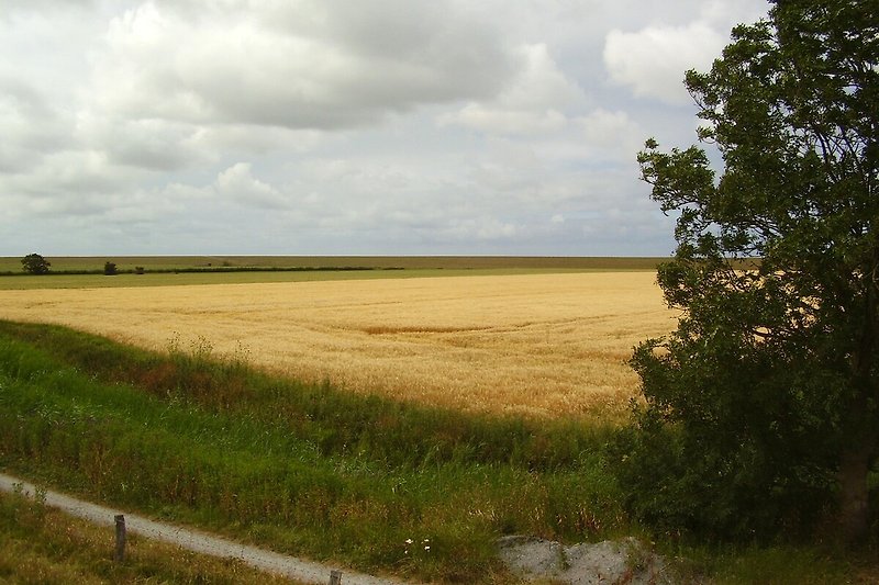 Blick vom Grundstück auf eine malerische Landschaft mit Felder und Wiesen.