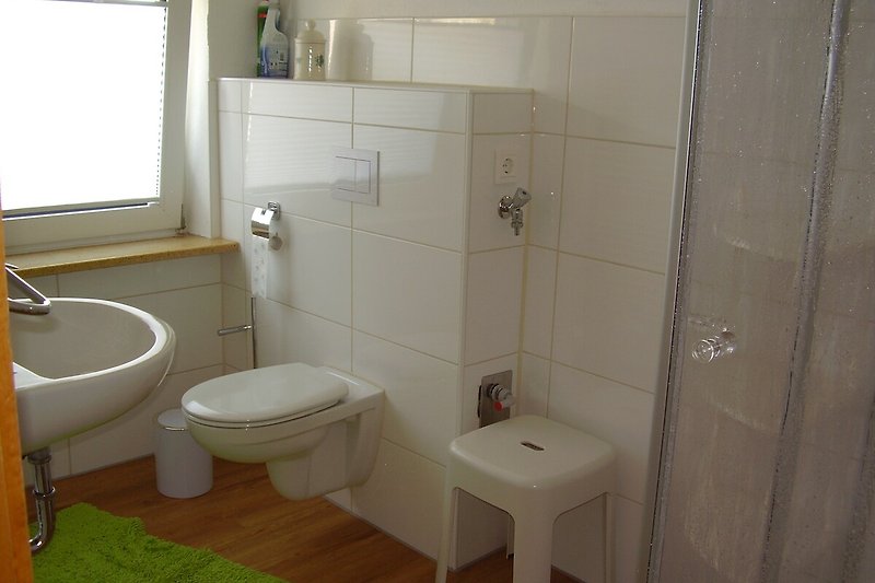Modernes Tageslicht Badezimmer mit Dusche und WC unten