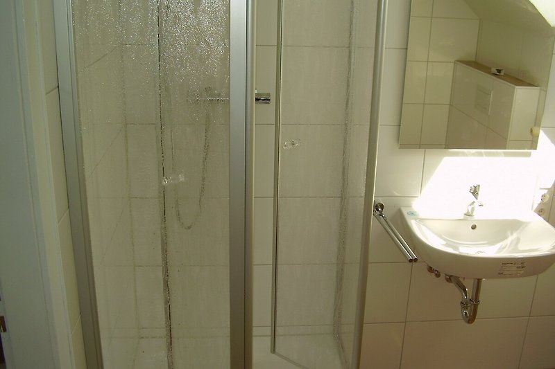 Modernes Tageslicht Badezimmer Dusche und WC oben