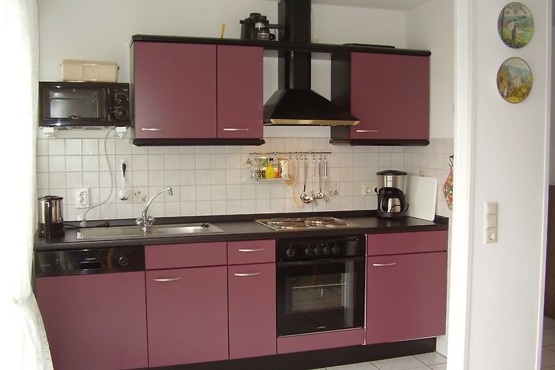 Moderne Einbauküche mit 4Plattenherd und Backofen
