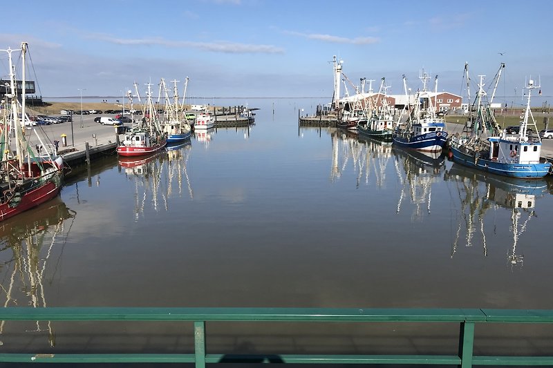 Fischereihafen D-Siel