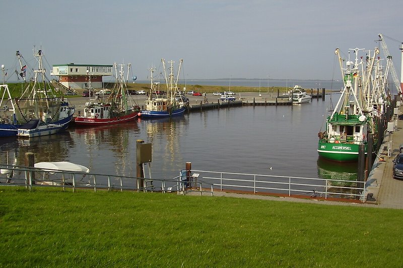 Fischereihafen D-Siel