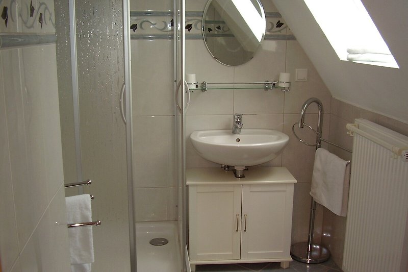 Modernes Tageslicht Badezimmer Dusche und WC