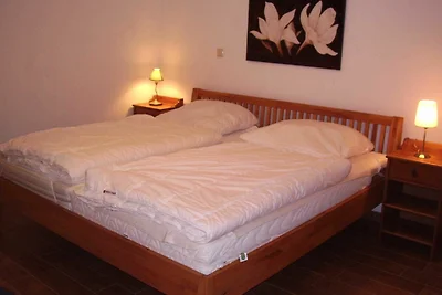 146 Komfortbungalow am Deich + Hund