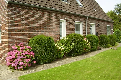 083 Erdgeschoss FeWo Dornumersiel
