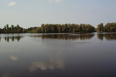 Ferienhaus eingezäunt, Hund