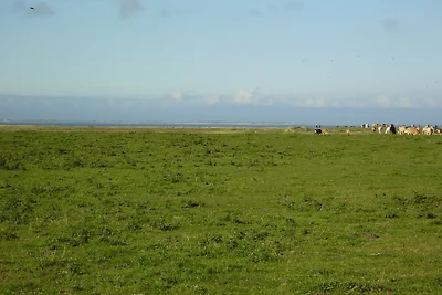 041 Komfort Ferienwohnung am Deich