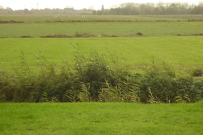 103 Naturblick, Zaun, 7 Pers, Hund