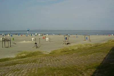 FeWo Haustierfrei 5 Minuten zum Strand