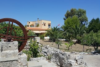 Villa-Salvino