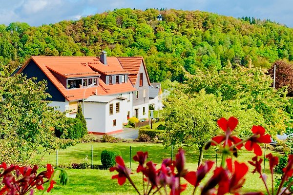 Ferienwohnung Medebach