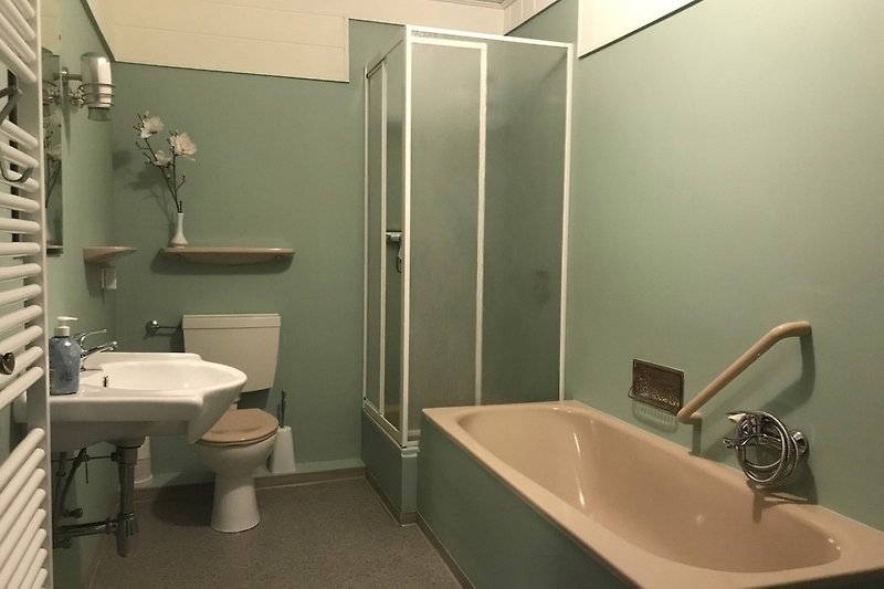 Badezimmer mit Douche und Badewannen, Seifespender in Douche
