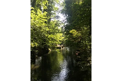 Spreewälder Ferienhäuser am BU