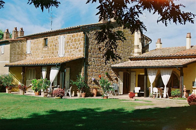 Poggio dell'olivo
