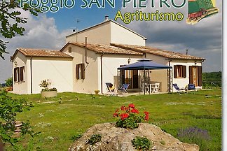 Poggio San Pietro, Gelso