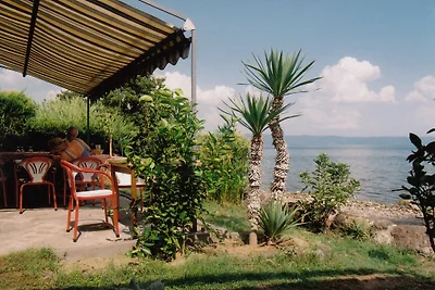 Poggio dell'Olivo, Casa B