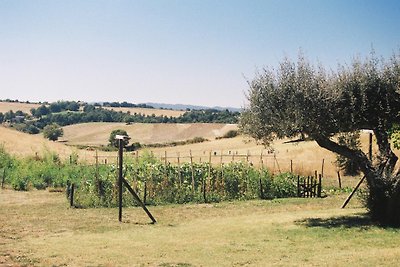 La Cantinaccia, Wohnung GIALLA