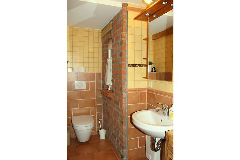 Bathroom with shower, toilet, and window.