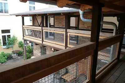 TOSKANA mit Balkon direkt in Waren