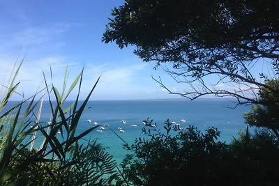 La Cachette de la Sardine