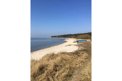 Ferienhaus Boddenliebe