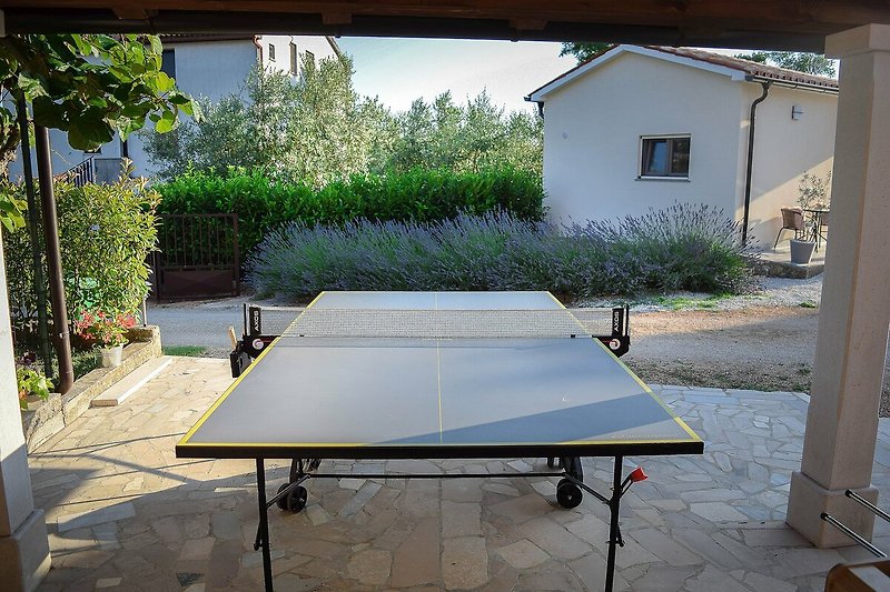 A sunny outdoor area with a table, chairs, and a ping pong table.