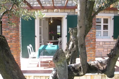 casa Anelia