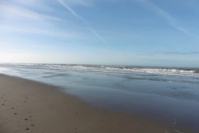 Die Muschelfinder