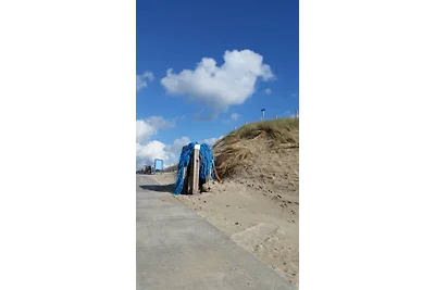 Die Muschelfinder